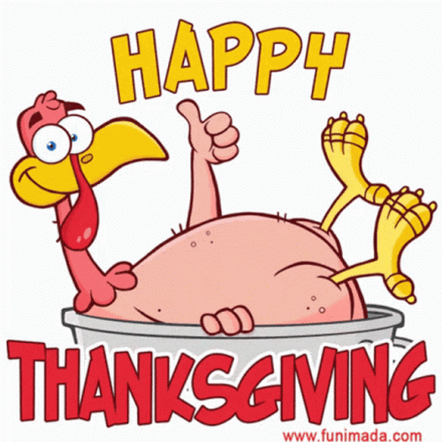 Thanksgiving Funny GIF