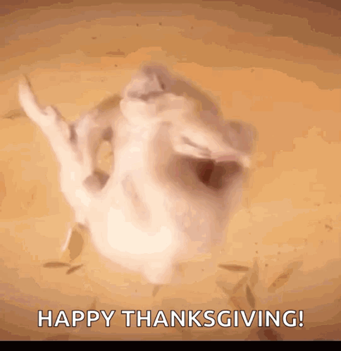 Thanksgiving Funny Turkey Twerky Booty GIF