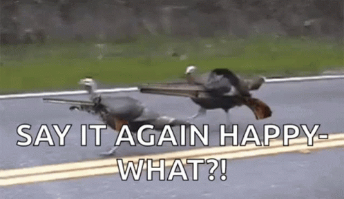 Thanksgiving Meme Turkey Say It Again GIF