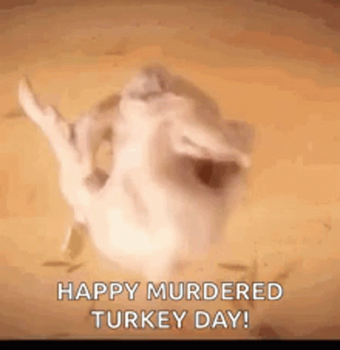 Thanksgiving Murdered Turkey Meme GIF