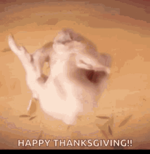 Thanksgiving Naked Turkey Dancing Meme GIF