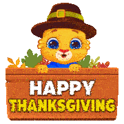 Thanksgiving Thanksgiving Turkey Sticker GIF