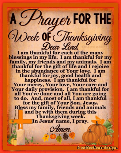 Thanksgiving Week Happy Thanksgiving Week Gif GIF