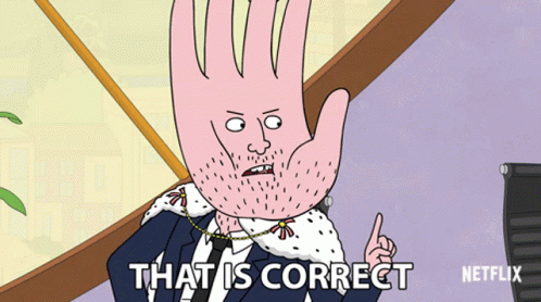That Is Correct Bojack Horseman Todd Chavez GIF