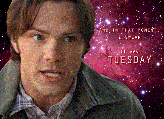 That Moment I Swear It's Humor Good Morning Tuesday GIF