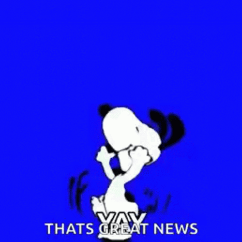 That's A Fantastic Great News GIF