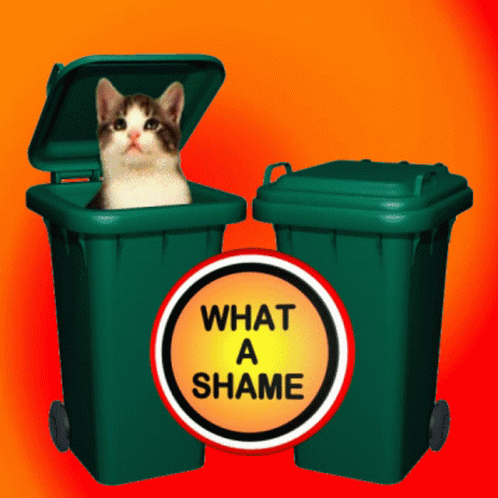 That's A Shame Cat In The Trash Bin GIF
