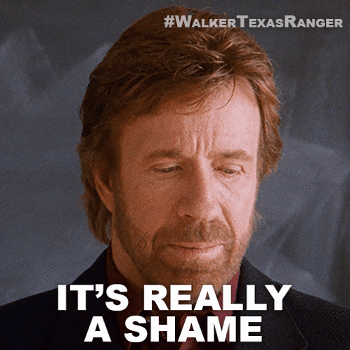 That's A Shame Chuck Norris GIF