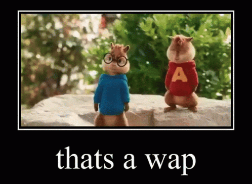 That's A Wap Chipmunks GIF