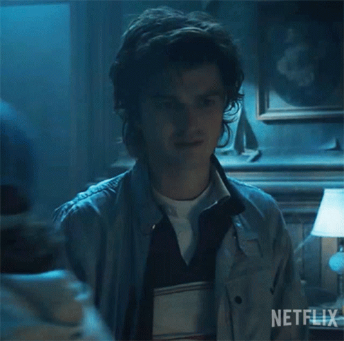 That's Great Steve Harrington GIF