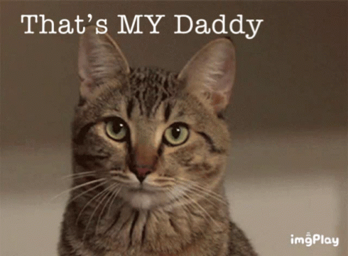 That's My Dad Cat GIF