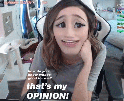 That's My Opinion Funny Meme GIF