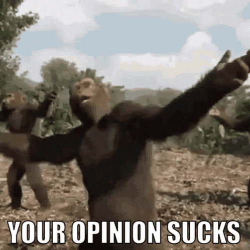 That's My Opinion It Sucks GIF