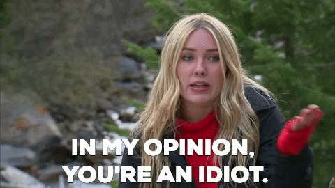 That's My Opinion You're An Idiot GIF