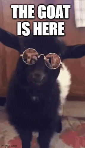 That's Why He's The Blinged Goat Meme GIF