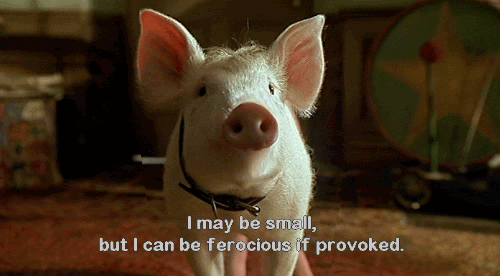 Thatll Do Pig I May Be Small GIF