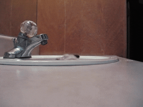 Thatll Do Pig Sink GIF