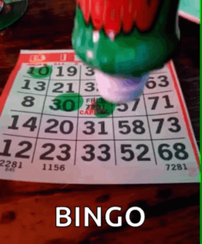 Thats A Bingo Bingo Bored GIF