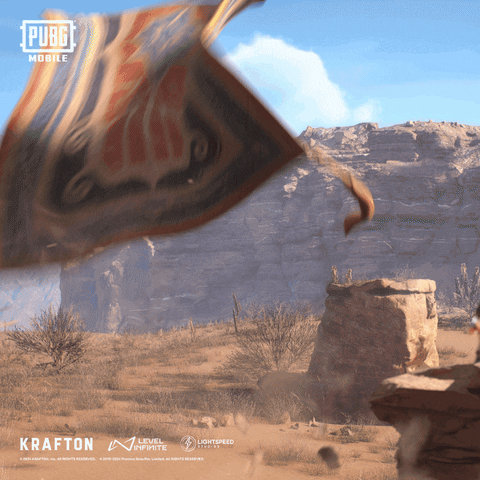 Thats A Rug Wrap GIF