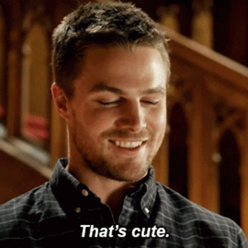 Thats Cute Happy Stephen Amell GIF