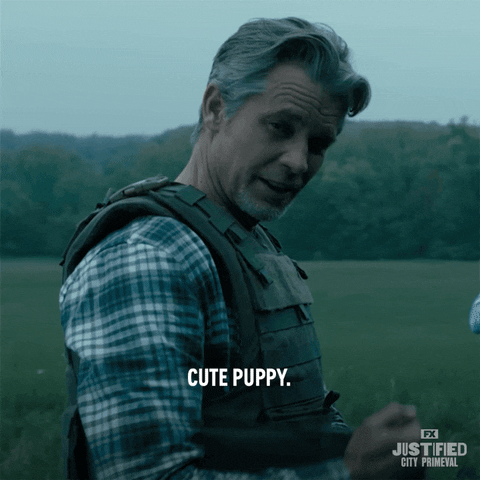 Thats Cute Puppy Justified Scene GIF