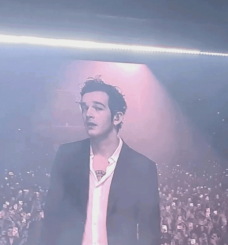 The 1975 Taylor Swift GIF