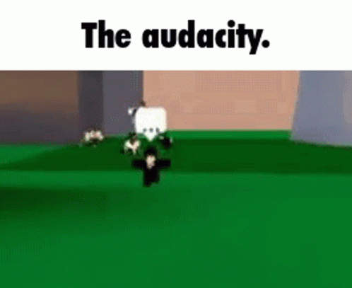 The Audacity Roblox GIF