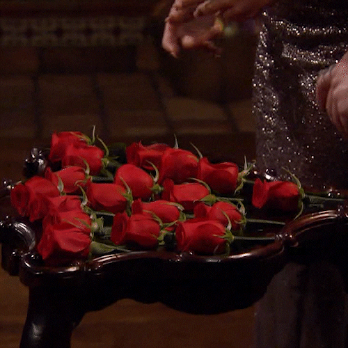The Bachelorette Rachel Picking Roses GIF