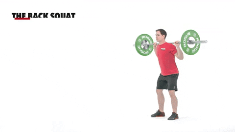 The Back Squat Barbell Row Technique GIF