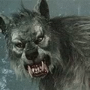 The Beast Like Creature Is Salivating GIF