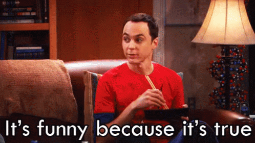 The Big Bang Theory It's Funny Because It's True GIF