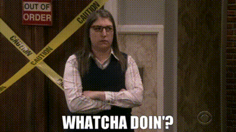 The Big Bang Theory Whatcha Doin GIF