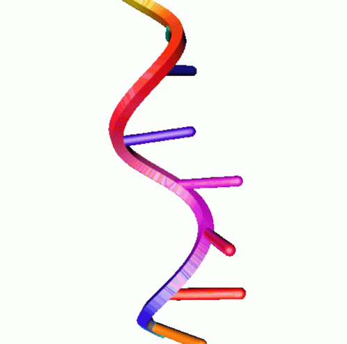 The Biology Of Deoxyribonucleic Acid GIF