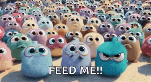 The Birds Angry Birds Feed Me GIF