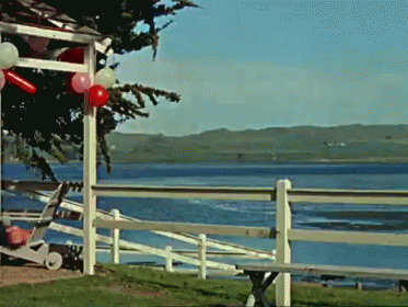 The Birds Attacking Birthday Party GIF