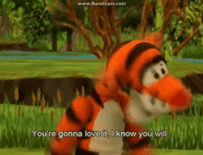 The Book Of Pooh Tigger Love It GIF