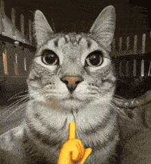 The Boys The Boys Butcher GIF
