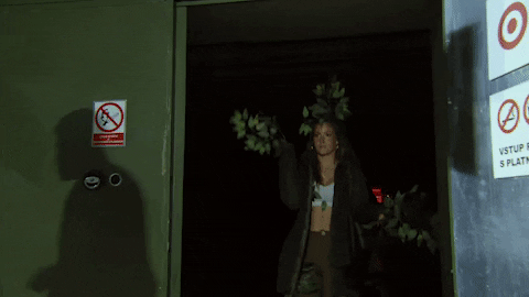 The Challenge Woman With Props Leaves GIF