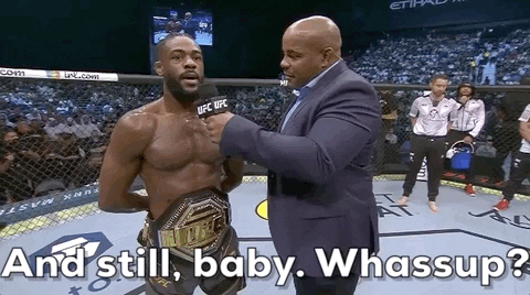 The Champ Is Here Aljamain Sterling Won GIF