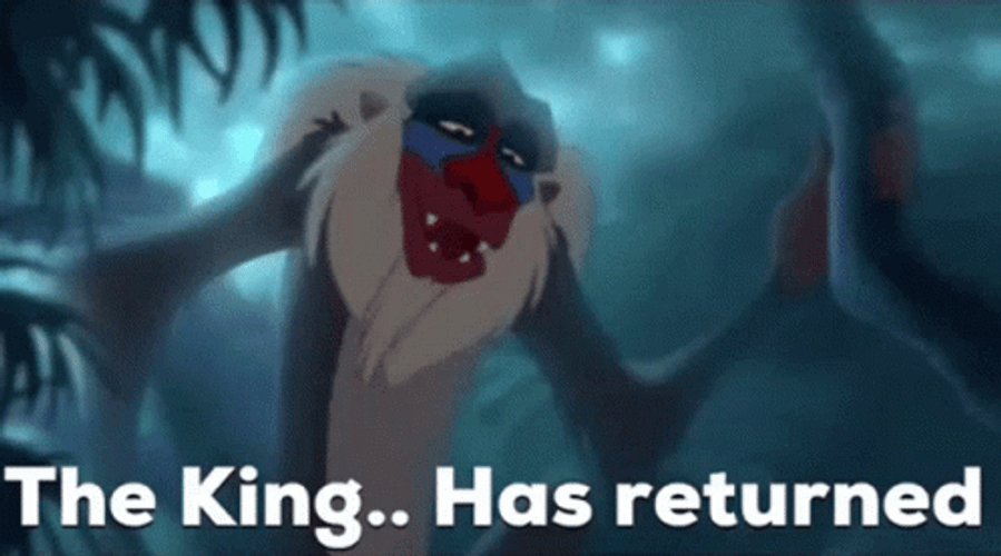 The Champ Is Here And King Has Returned GIF