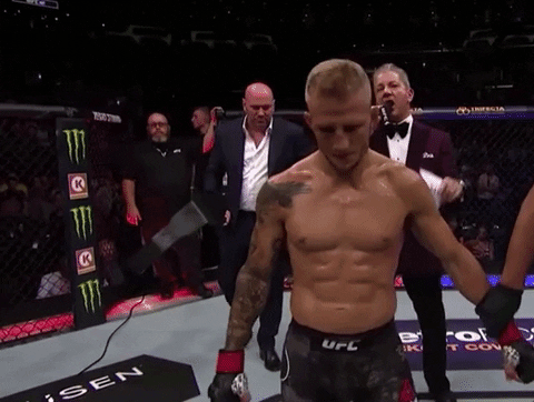The Champ Is Here Dillashaw Wears The Belt GIF