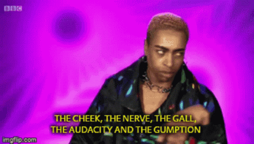The Cheek The Nerve The Gumption