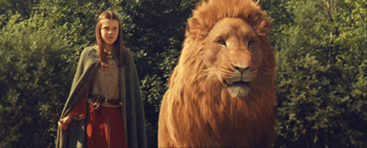 The Chronicles Of Narnia Aslan Sharp Fangs GIF