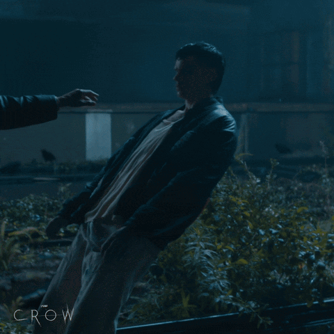 The Crow Eric Draven Falling Into Water GIF