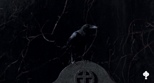 The Crow Sarah Mohr Talking To Bird GIF