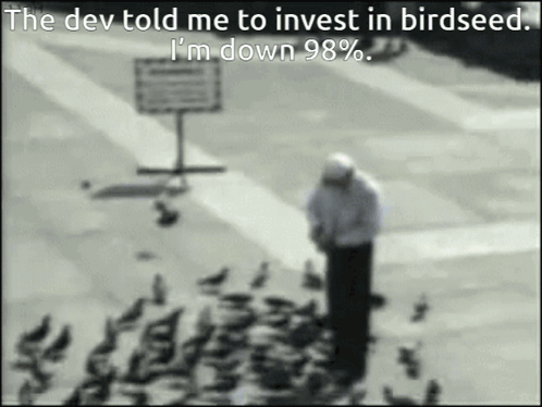 The Dev Told Me To Invest In Bird Seed I 'M Down 98% .. GIF