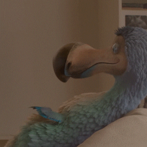 The Dodo Australia Woooow GIF