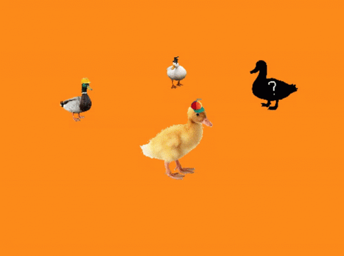 The Duck Spinning Around GIF