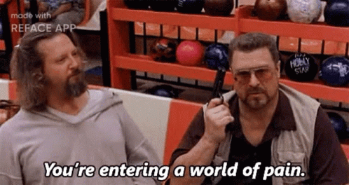 The Dude You're Entering A World Of Pain GIF