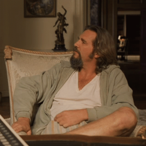 The Dude Putting On His Sunglasses GIF